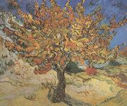 Vincent Van Gogh The Mulberry Tree (nn04) Germany oil painting reproduction